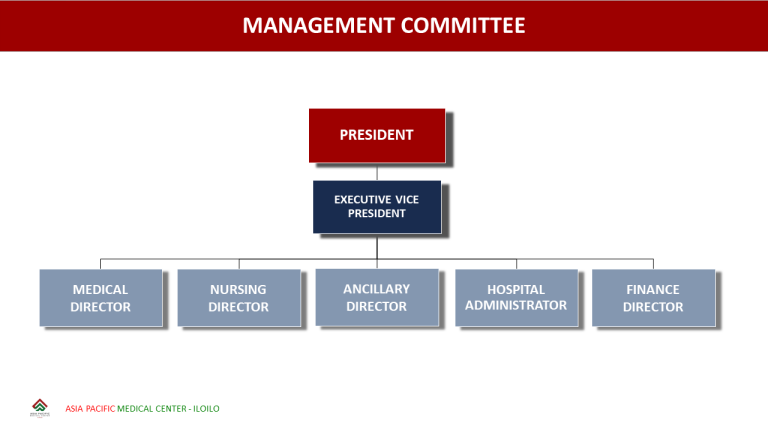 Board Of Directors And Organizational Structure – Asia Pacific Medical ...