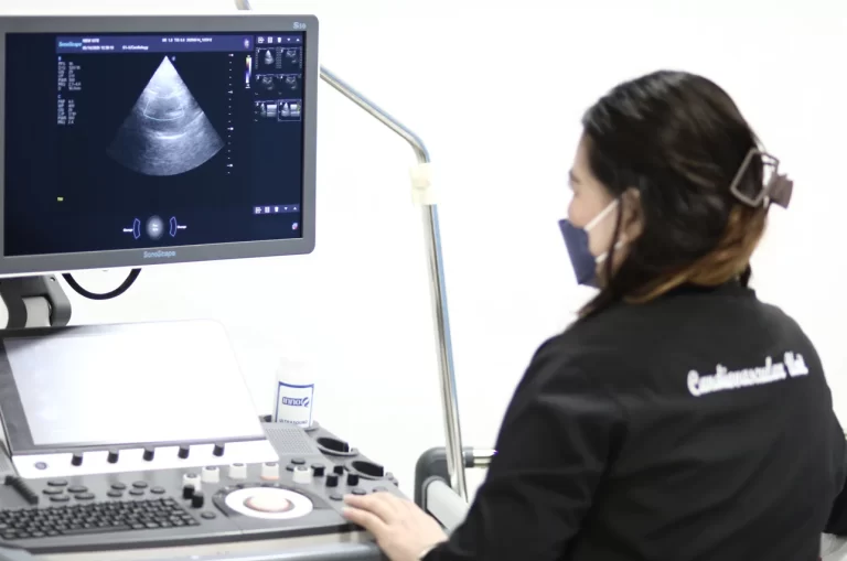 cardiology